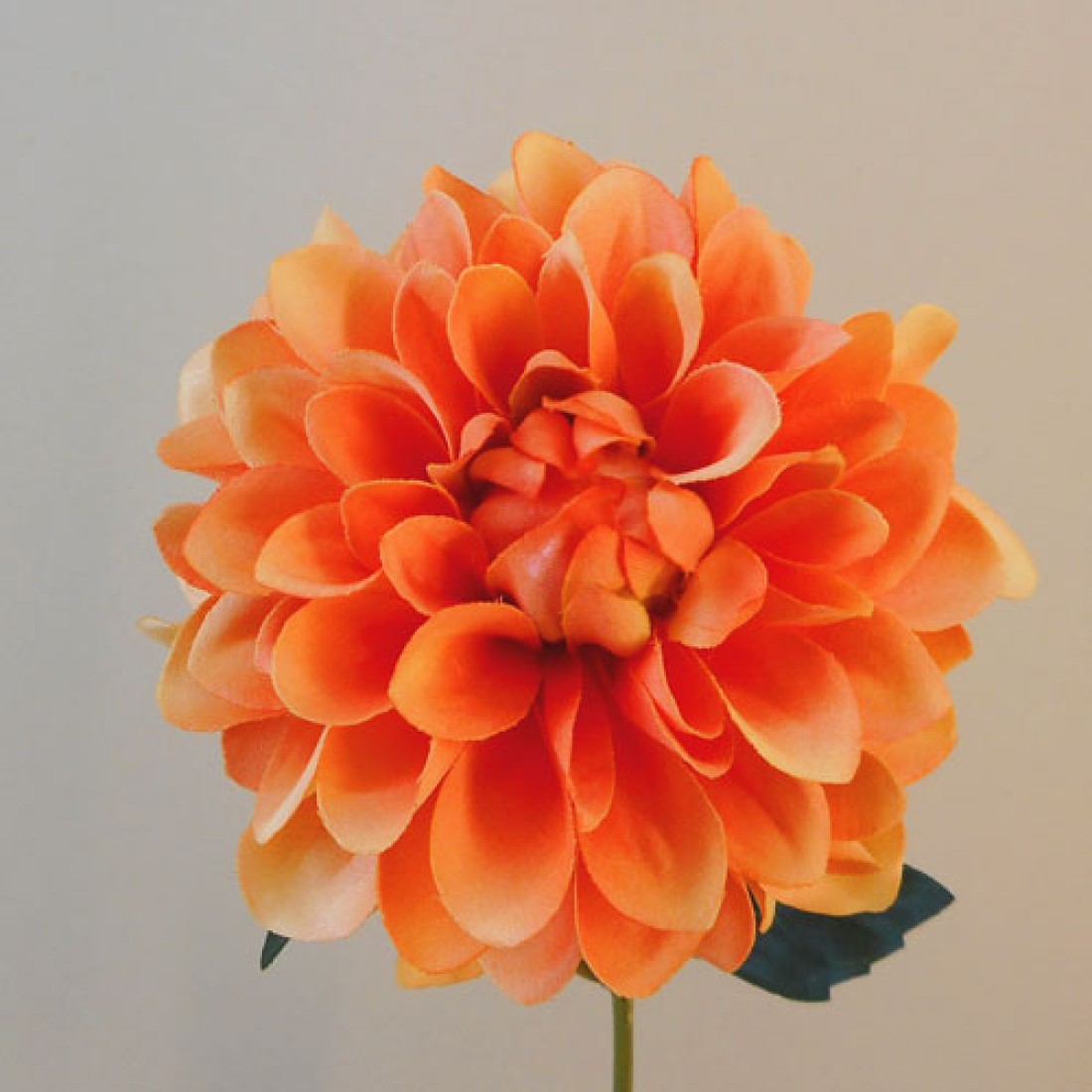 Artificial Dahlia Flowers Carnival Orange 45cm Artificial Flowers